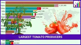 Top Tomato Producing Countries (1961 - 2022)