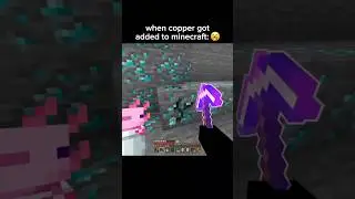 minecraft copper moment 💀