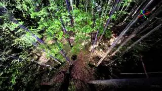 Terrestrial LiDAR in a Virginia Mixed Hardwood Forest