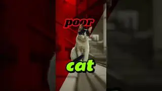 Mesmerizing Cat Moments You&rsquo;ll Love! 🐾✨ #shortsvideo #cat #tending