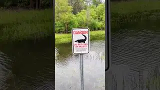 What in the Florida Man?