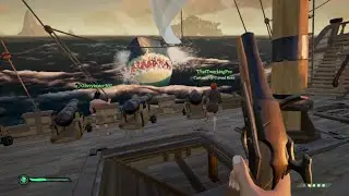 The Worst Pirate Crew You've Ever Seen