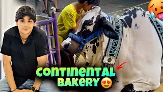 CONTINENTAL BAKERY COWS AND BULLS 2025 😱 | گلشن اقبال کراچی | Qurbani Vlog 2025