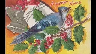 50 Old Christmas Bird Pictures Vol. 2  [ Episode # 112 ]