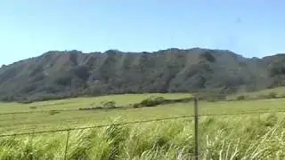 Jussasic Park Filmed Here
