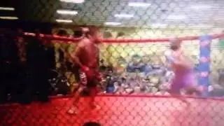 Branko Busick returns to cage 2015