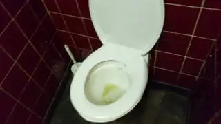 Rimless Armitage Shanks Concealed Tank Toilet