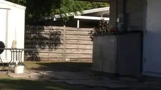 The Fetch Compilation #15