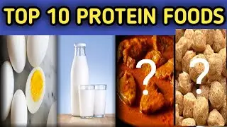 TOP 10 PROTEIN FOODS IN TAMIL | PROTEIN FOODS IN TAMIL