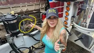 BIG CAM CUMMINS PT FUEL PUMP LEAKING! 😬 Peterbilt 359 #cumminsbigcam 