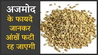 अजमोद के फायदे | Celery Ajmod Benefits in Hindi