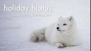 holiday hiatus