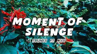 MOMENT OF SILENCE OFFICIAL VISUALS 