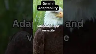 Gemini Adaptability