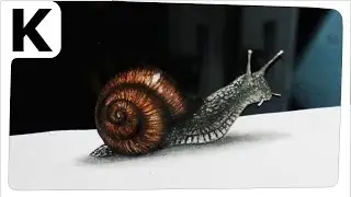 How to draw 3D- Optical illusion- snail - Rysunek 3D- Iluzja optyczna- ślimak