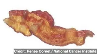 Bacon and Sausage Causing 'Early Death?'
