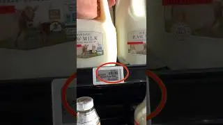 Is a $20 Gallon of MILK worth it?! 😳 #shorts