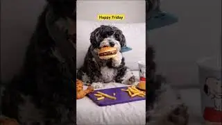 🐶: Happy Friday #shortsfeed #happyfriday #puppy #aidogs #aishorts #aivideo #ai