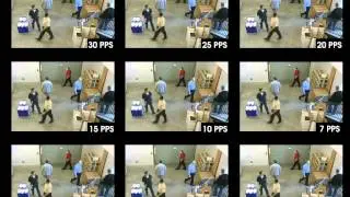 IP Video Frame Rate Demo