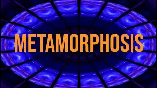 Metamorphosis &ndash; The First Turning (Instrumental) | Chapter 1 | NiKo Art Productions