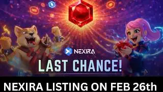 Nexira Airdrop is listing on Feb 25th, How to complete all available tasks and position for the Drop