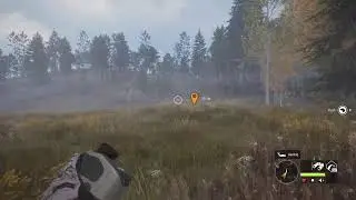 Diamond Whitetail?