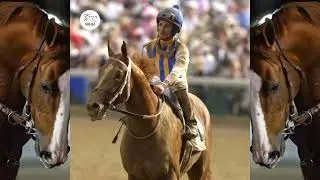 Happy 11th Birthday Champion California Chrome 2x Horse Of The Year
