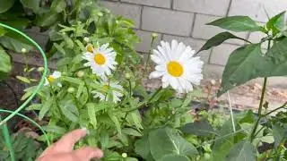 May Garden Tour