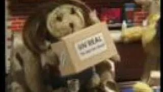 The Adam And Joe Show - Furends