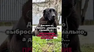 Для кого-то выбросить - нормально, а для кого-то... ПРЕСТУПЛЕНИЕ ПРОСТО ОСТАВИТЬ НА УЛИЦЕ!!!