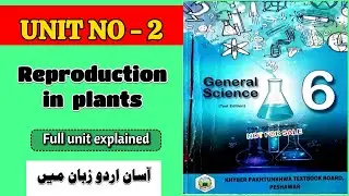 General Science Class 6 chapter 2 | reproduction in plants | KPK new book | Learn with Arif 360
