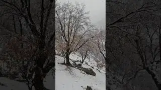 Nomadic life in harsh conditions: cave dwelling and snowfall in the mountains