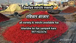 Bediya mirchi mandi 🌶️ rate and business to cont.9977022476 (Sunday Market) #video #viral #trending 