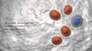 Cancer Immunotherapy: ASCO's Advance of the Year