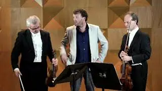 Effect van muziek | Viool & altviool