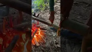 Coffee in a bamboo branch? #shorts #travel #coffee