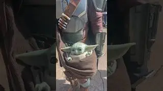 Grogu liked my spirit jersey at Disneyland! #grogu #starwars