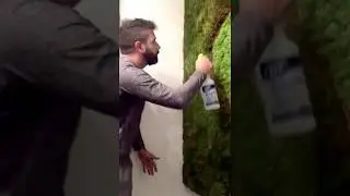 Making off - Simple care of the moss wall