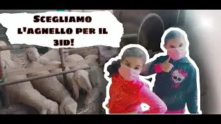 SCEGLIAMO L'AGNELLO PER IL 3ID!#aid#l'angelloper3id
