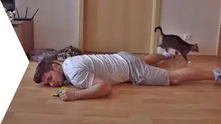 Mit csinálna Pisze, ha meghalnék?