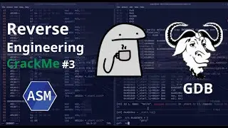Solving A Simple Crackme Challenge Using GDB /Crackmes.one 0x02