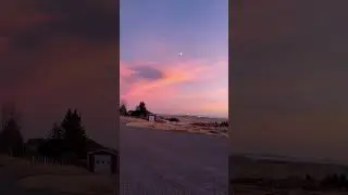 A sunset walk to our local forest