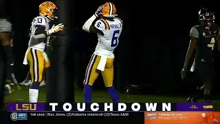 Terrace Marshall Jr vs Vanderbilt (2020)