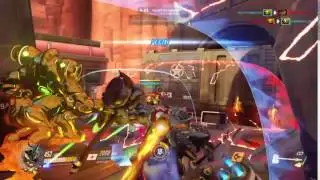 Reinhardt Bug Returns