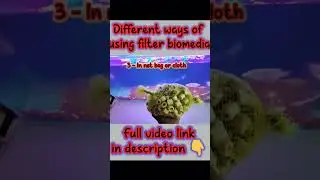 Different ways of using bio media #filermedia #biomedia #monsterfish #fishlover #shortfeed #trending