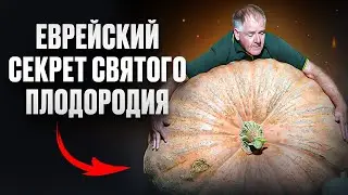 Еврейский секрет святого плодородия. Глава Торы 