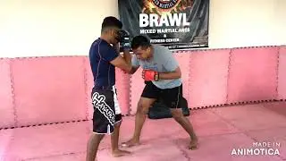 Basic MMA GRAPPLING - Single leg variation takedows
