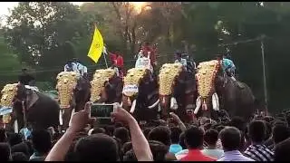Erimayur erottupalli nercha talapokkam 2017