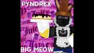 PYNDREX - BIG MEOW FT. CUPCAKKE