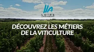 Les m&eacute;tiers de la viticulture : Rejoindre une fili&egrave;re porteuse de sens